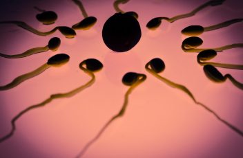 Petesejt- és spermium adományozás